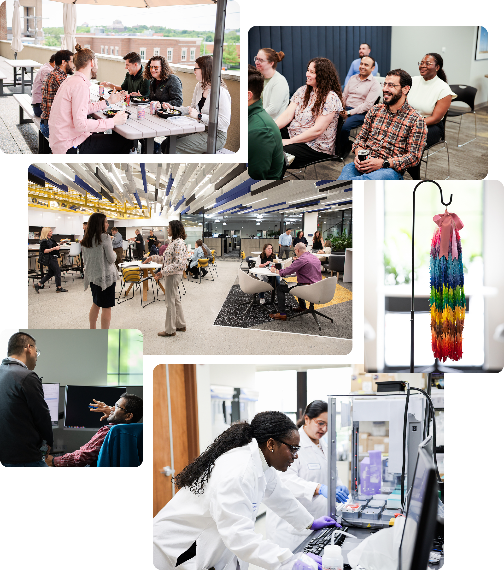 Collage of Deciphera workers